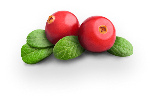 fruties